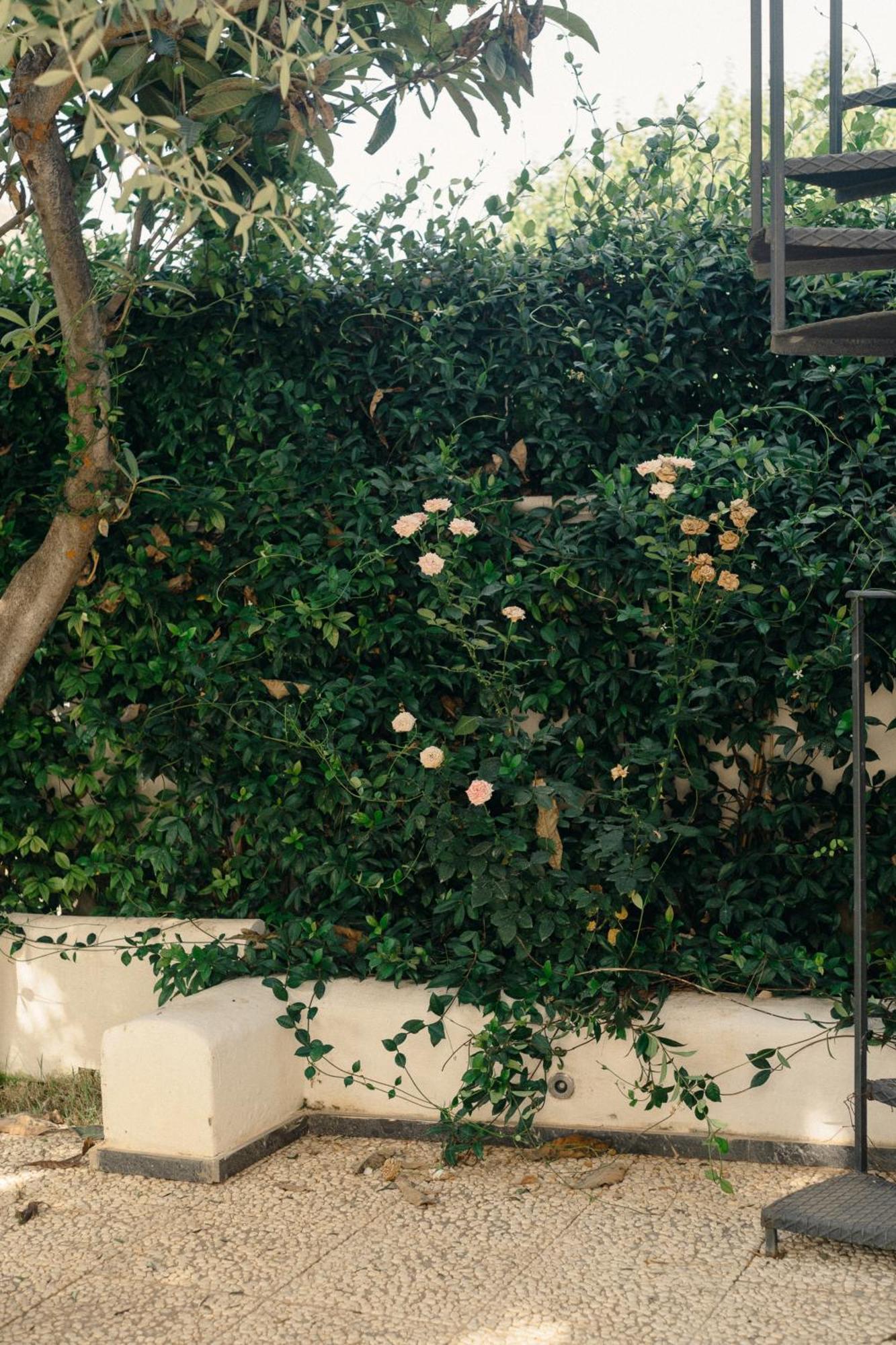 Fondo Mondello Apartment Exterior photo